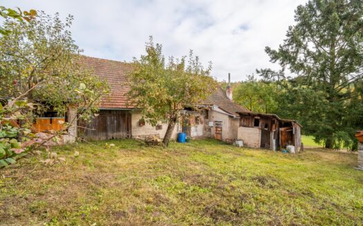 PRODÁNO – Na samotě u lesa: Půl akru pozemku ve Středočeském kraji (Klokočná)