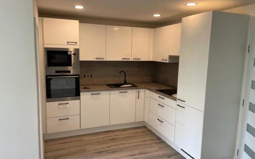 PODNAJMUTO – Byt 3+kk po kompletní rekonstrukci s lodžií a sklepem