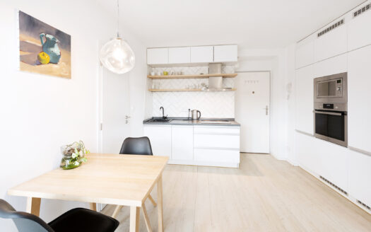 PRODÁNO – Útulný a velmi funkční byt 1kk s prostornou terasou a výhledem