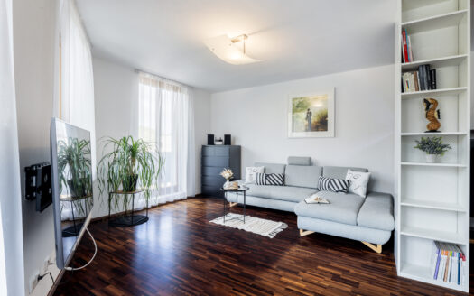 PRODÁNO – Rodinný 3+kk v prémiové lokalitě na Smíchově