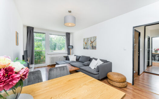 PRODÁNO – Krásný byt 2+1 s lodžií a sklepem