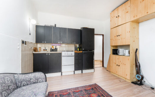 PRODÁNO – Byt 2+kk s lodžií a sklepem, 52m2, Žižkov